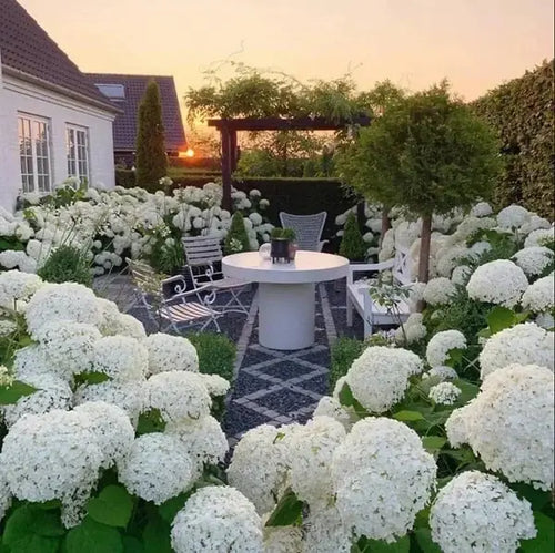 Outdoor Artificial Hydrangea Flowers, Realistic Faux Silk Blooms for Patio