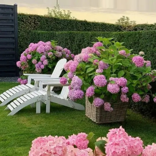Outdoor Artificial Hydrangea Flowers, Realistic Faux Silk Blooms for Patio