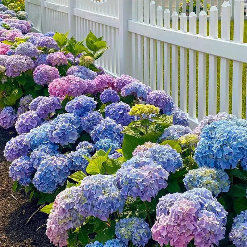 Outdoor Artificial Hydrangea Flowers, Realistic Faux Silk Blooms for Patio